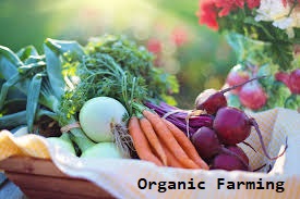 Start-Up Organic Farming